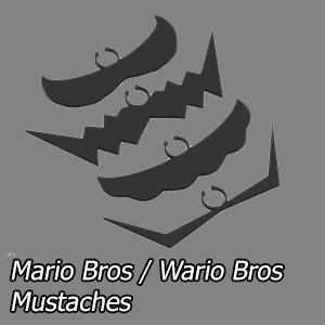 Staches